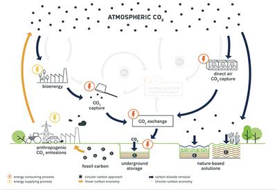 Framework for Assessing the Feasibility of Carbon Dioxide Removal Options Within the National Context of Germany